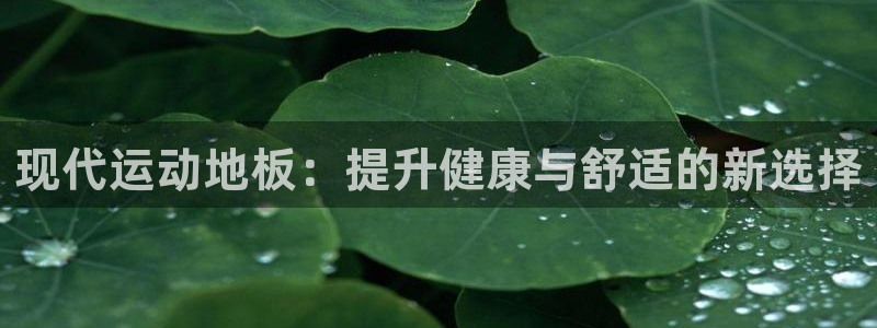 尊龙官网下载平台注册要钱吗：现代运动地板：提升健康与