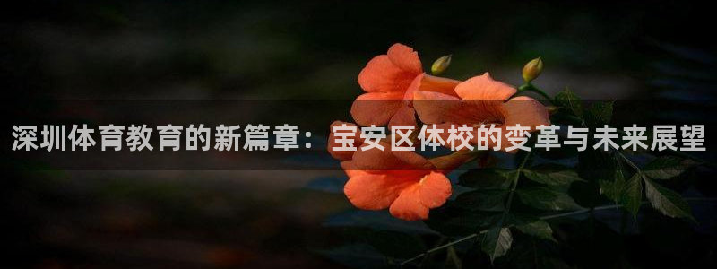 尊龙官方正版app开户：深圳体育教育的新篇章：宝安区