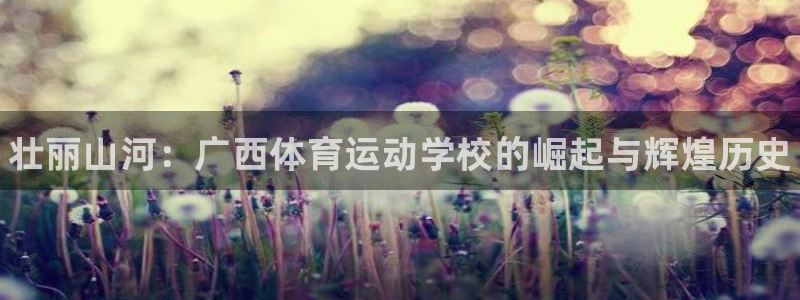 尊龙官网下载平台注册流程视频：壮丽山河：广西体育运动