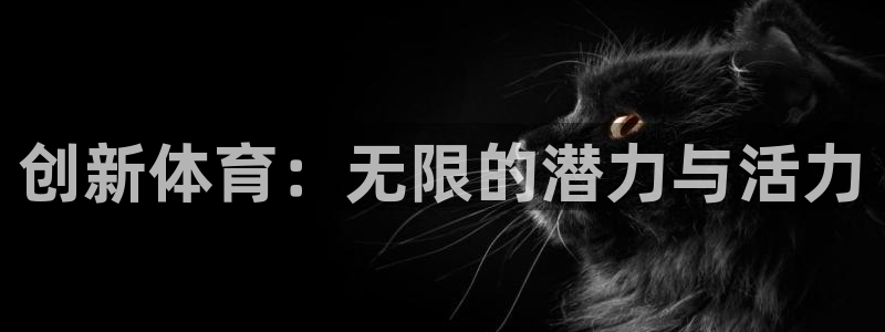 尊龙官网下载招商电话：创新体育：无限的潜力与活力