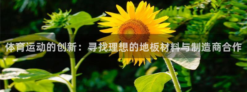 尊龙官网下载招商电话号码查询：体育运动的创新：寻找理
