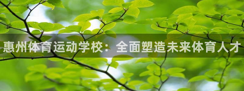 尊龙官方集团官网：惠州体育运动学校：全面塑造未来体育