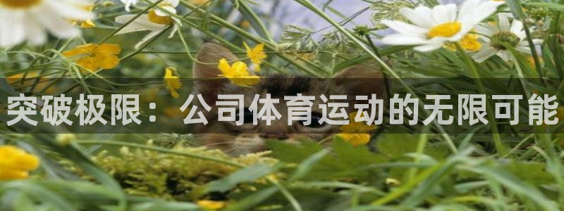 尊龙官网下载招商电话号码是多少啊