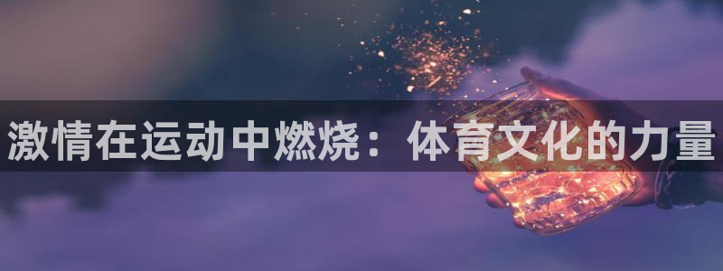尊龙官网下载是干嘛的公司：激情在运动中燃烧：体育文化