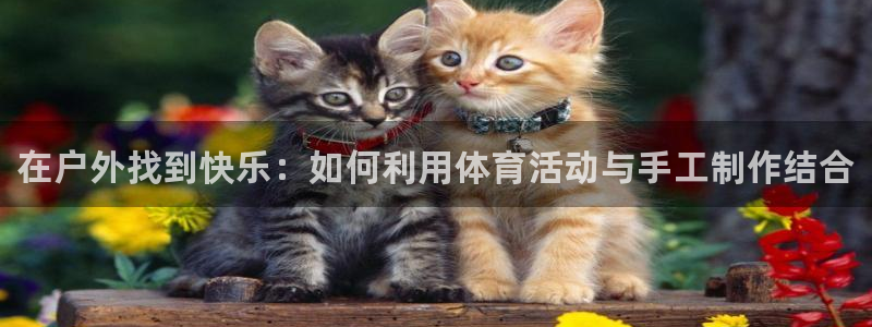 尊龙官网下载软件