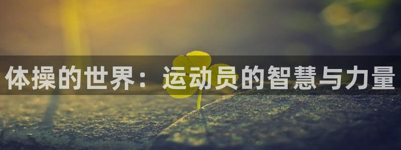 尊龙官方正版app神州