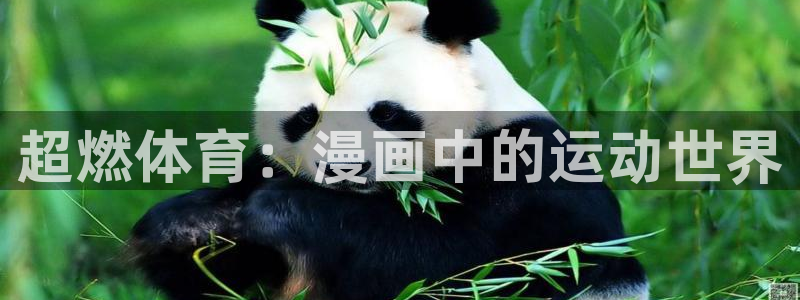 尊龙官网下载：超燃体育：漫画中的运动世界