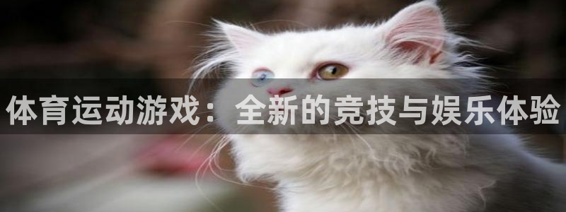 尊龙官网下载招商电话地址：体育运动游戏：全新的竞技与娱乐体验