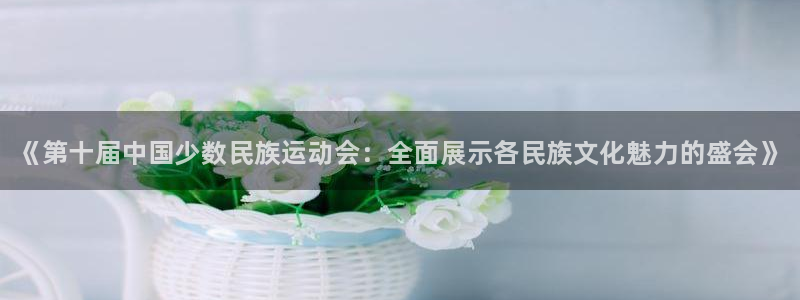 尊龙官网下载平台注册要钱吗：《第十届中国少数民族运动会：全面