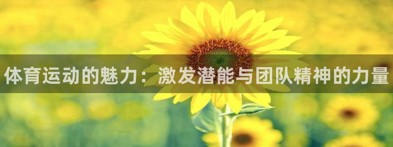注册尊龙官方正版app：体育运动的魅力：激发潜能与团