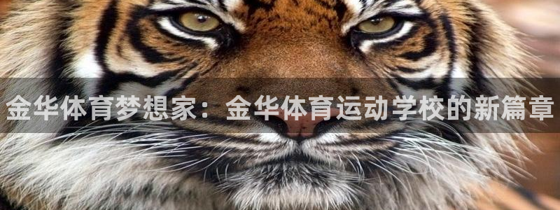 尊龙官网下载招商电话地址是多少：金华体育梦想家：金华