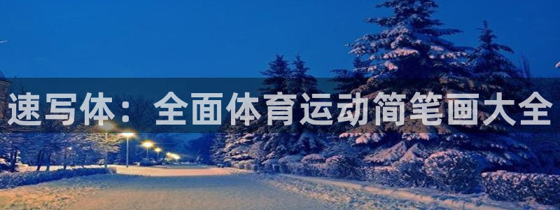 尊龙官方正版app娱乐首页官网下载：速写体：全面体育