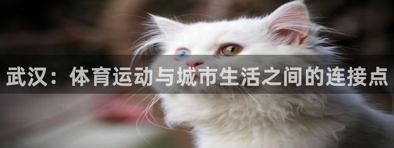 尊龙官网下载招商电话号码是多少号：武汉：体育运动与城