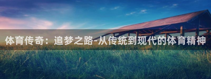 尊龙官方集团官网：体育传奇：追梦之路-从传统到现代的