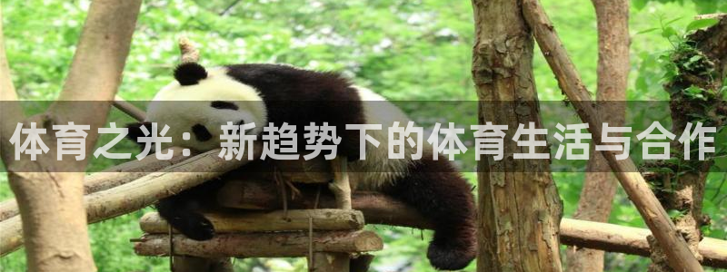 尊龙官网下载招商电话号码查询：体育之光：新趋势下的体