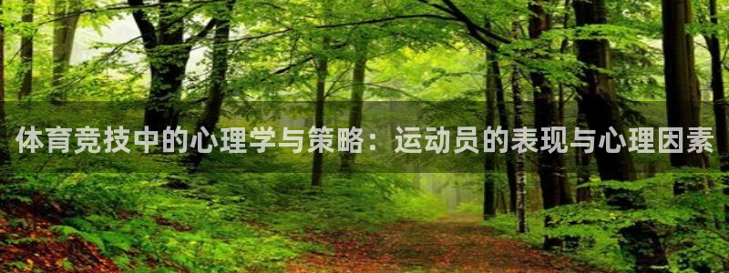尊龙官网下载注册：体育竞技中的心理学与策略：运动员的