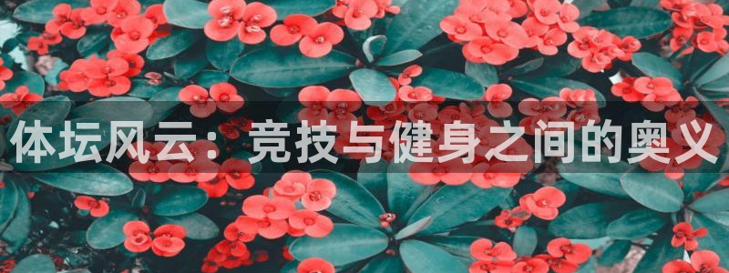 尊龙官网下载招商电话是多少：体坛风云：竞技与健身之间