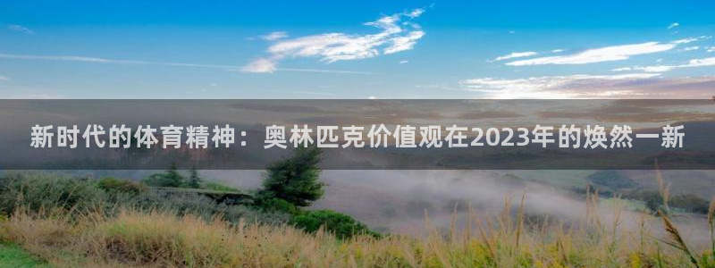 尊龙官方正版app集团官网首页网址：新时代的体育精神
