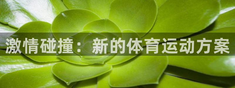 尊龙官方正版app娱乐40996：激情碰撞：新的体育运动方案