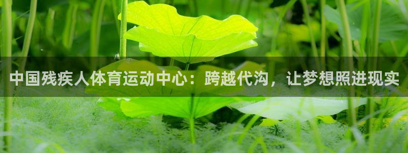 尊龙官网下载平台APP：中国残疾人体育运动中心：跨越代沟，让