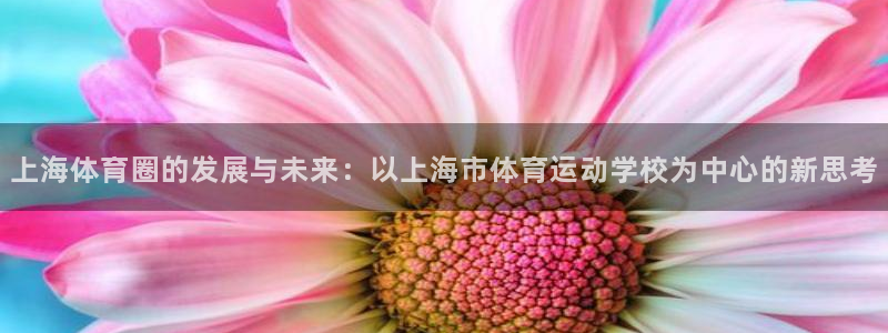 尊龙官网下载招商电话是多少啊：上海体育圈的发展与未来：以上海