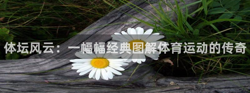 尊龙官网下载平台是正规平台吗知乎：体坛风云：一幅幅经典图解体