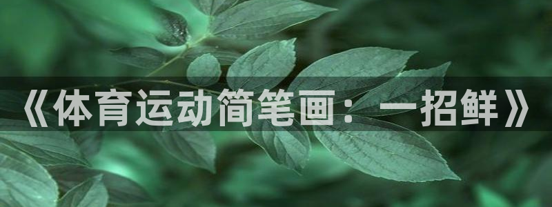 尊龙官方正版app集团官网首页：《体育运动简笔画：一