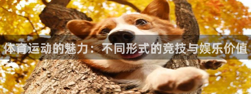 尊龙官网下载招商电话号码查询：体育运动的魅力：不同形