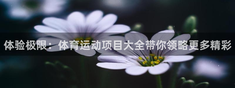 尊龙官网下载招商电话是多少号码：体验极限：体育运动项目大全带