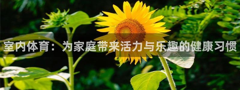 尊龙官方正版app娱乐下载：室内体育：为家庭带来活力与乐趣的