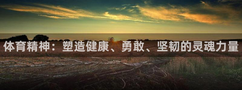 尊龙官方正版app科技